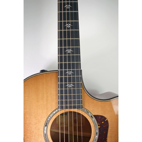 Taylor 514ce Urban Ironbark