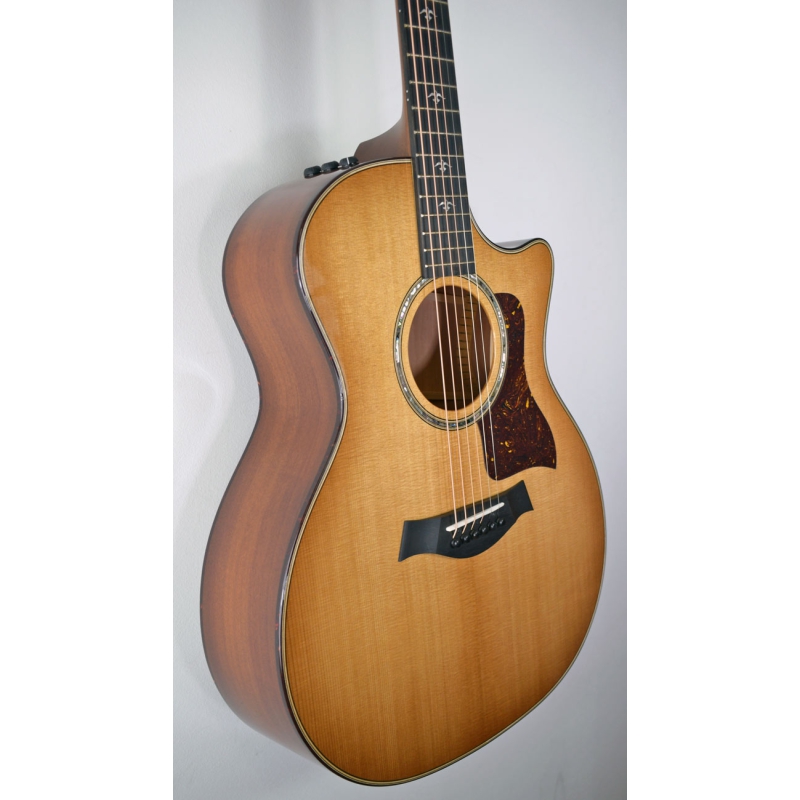 Taylor 514ce Urban Ironbark