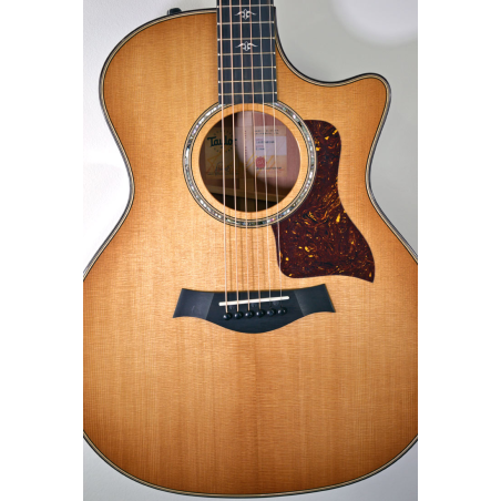 Taylor 514ce Urban Ironbark