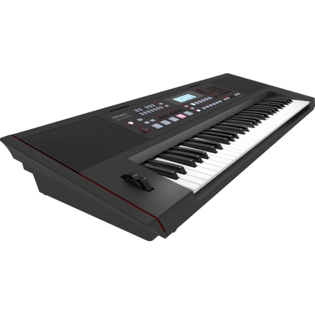 Roland E-X50 Entertainment Keyboard