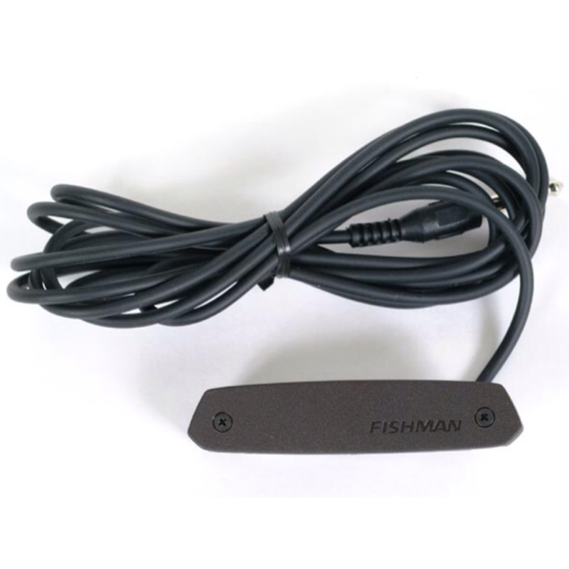 Fishman Neo-D single coil pickup