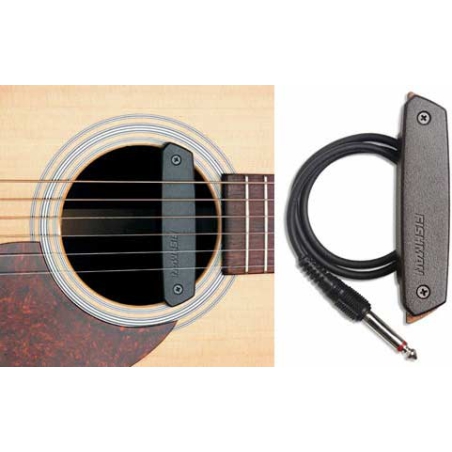 Fishman Neo-D single coil pickup