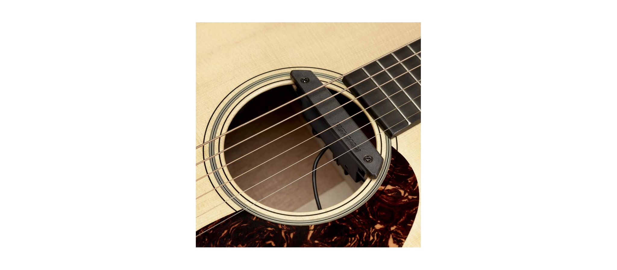 Fishman Rare Earth Humbucking | Pickup element | Dijkman Muziek