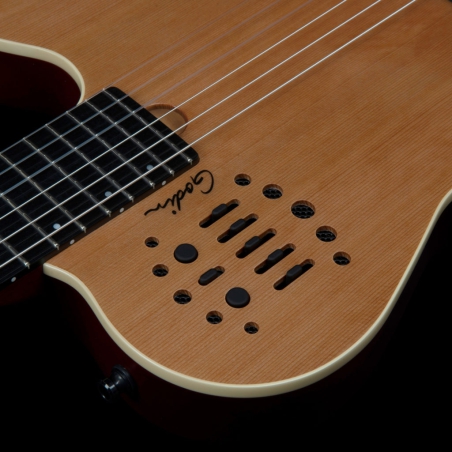 Godin ACS-SA SLIM Nylon Natural SG