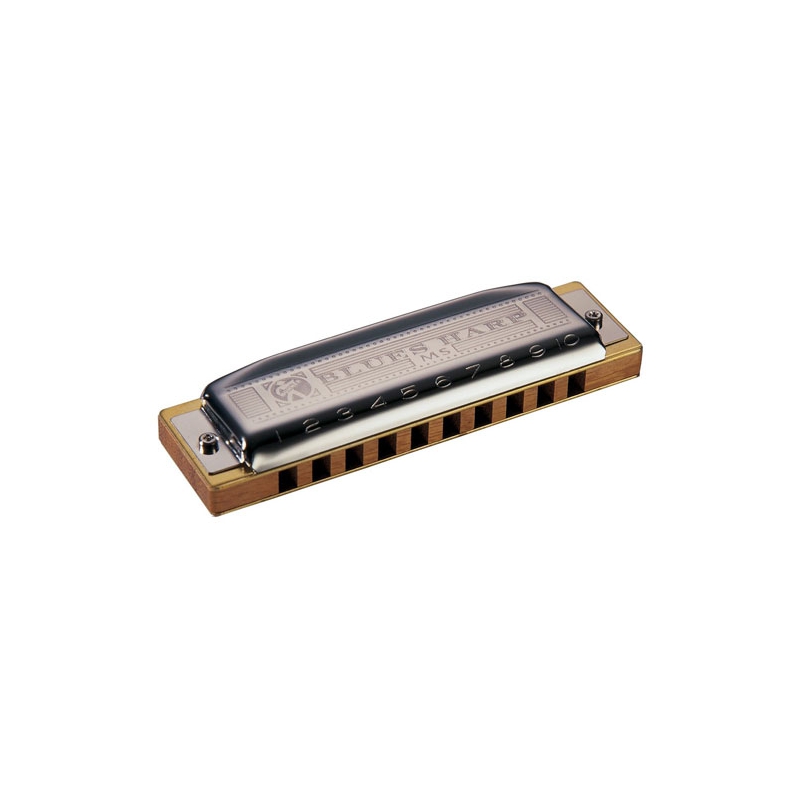 hun Evacuatie Stiptheid Hohner Blues Harp A | Mondharmonica | Dijkman Muziek