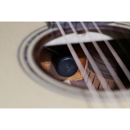 Ibanez AWFS580CE-OPS