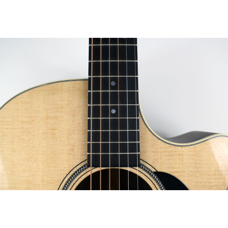 Martin GPC-16E Rosewood