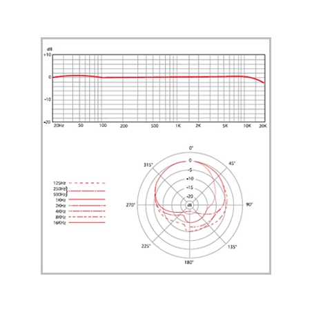 sE Electronics Neve RN17