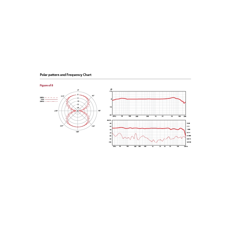 sE Electronics X1 R Ribbon Microfoon