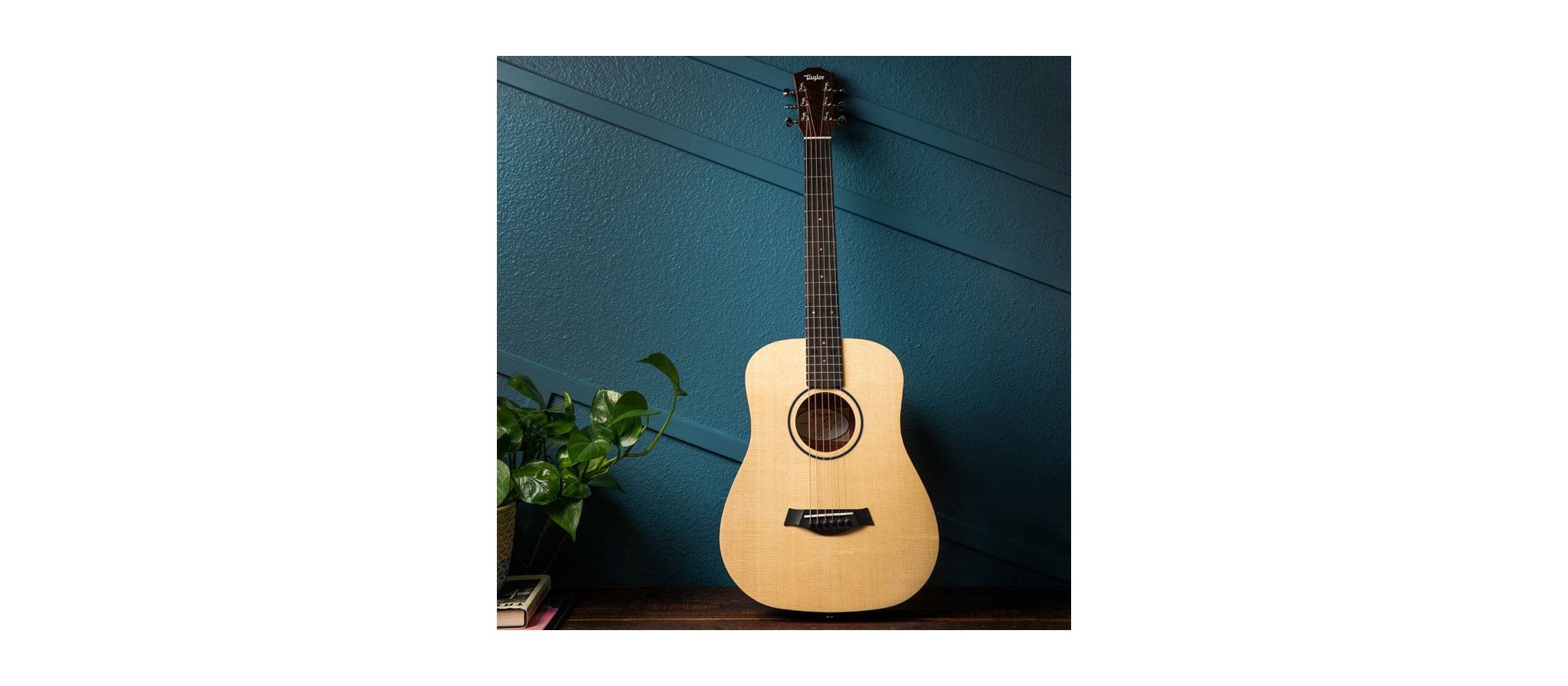 Taylor Baby Taylor BT1 | Reisgitaar | Dijkman Muziek