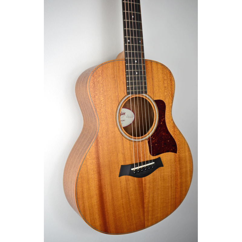 Taylor GS Mini Mahogany