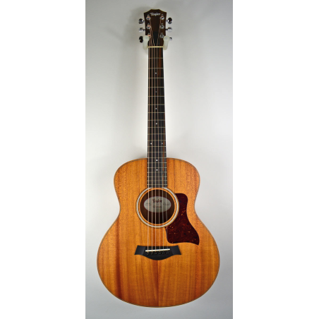 Taylor GS Mini Mahogany