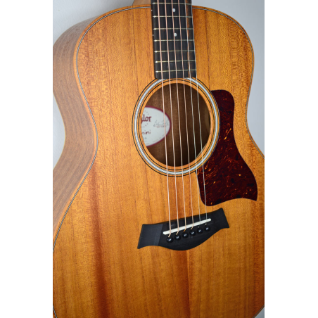 Taylor GS Mini Mahogany