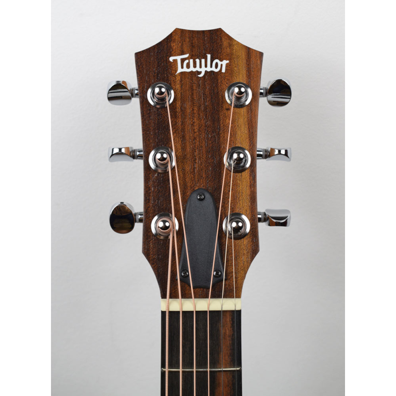 Taylor GS Mini Mahogany