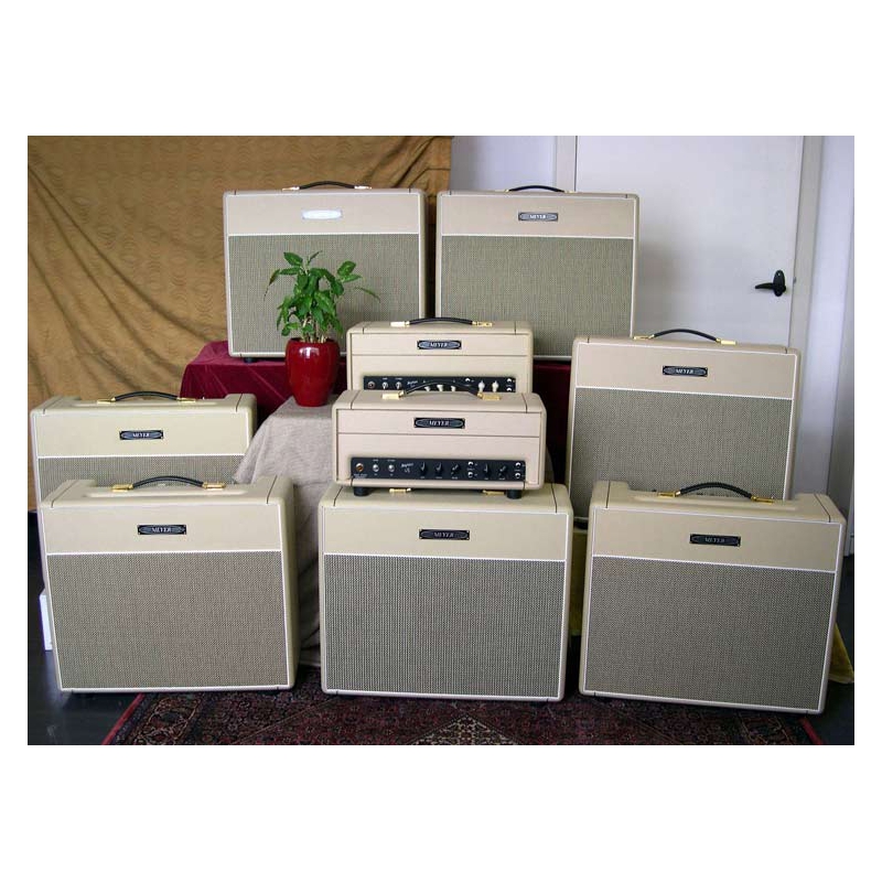 Meyer Amps Brighton BR20C en hoes