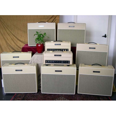 Meyer Amps Brighton BR20C en hoes