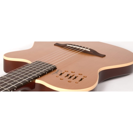 Godin Multiac Nylon Encore natural SG