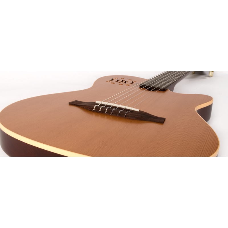 Godin Multiac Nylon Encore natural SG