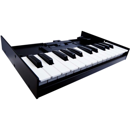 Roland K25m keyboard unit