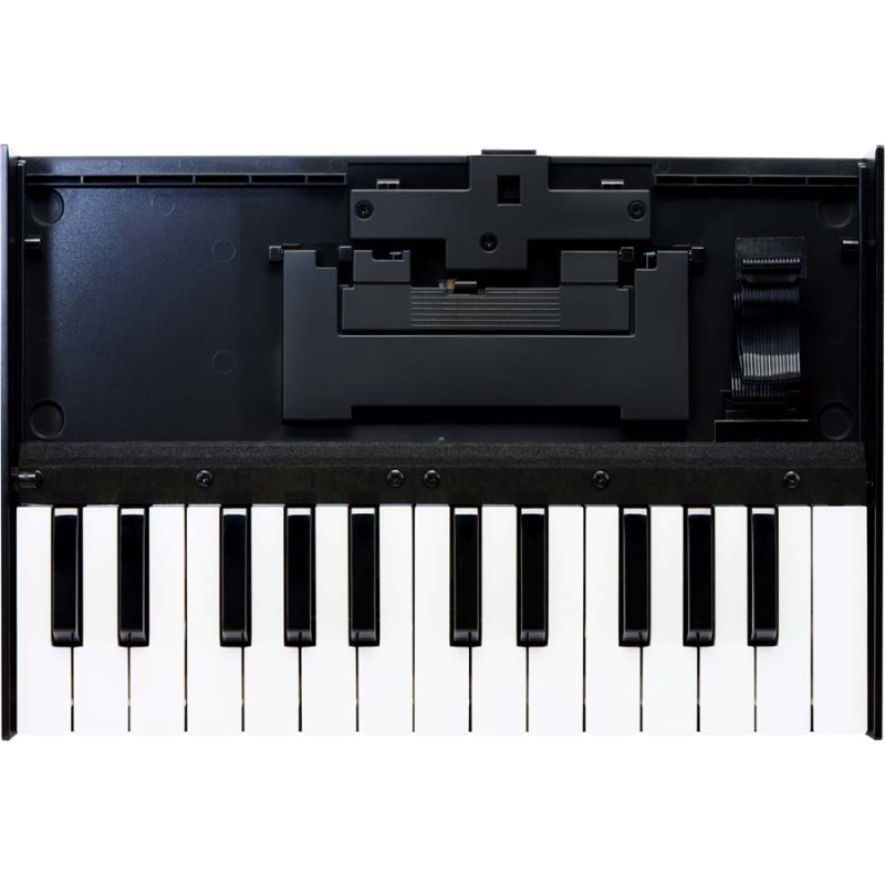 Roland K25m keyboard unit