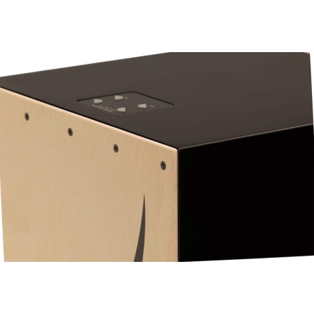 Roland EC-10 El Cajon