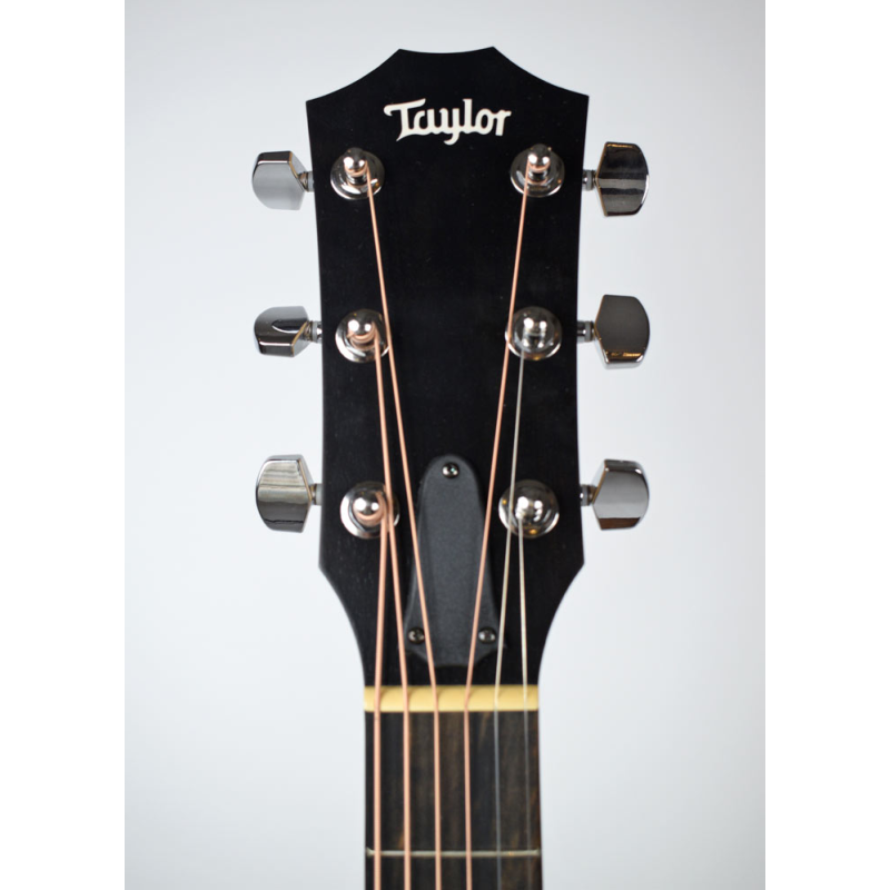 Taylor 110E