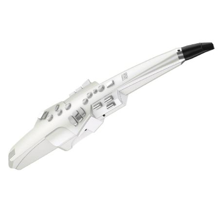 Roland Aerophone AE10G digitaal blaasinstrument