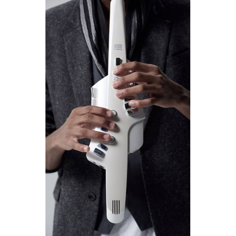 Roland Aerophone AE10G digitaal blaasinstrument