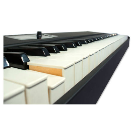 StudioLogic SL88 Grand MIDI Klavier
