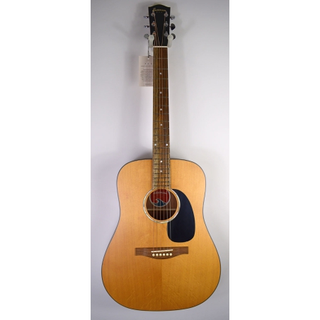 Eastman PCH1-D  Gitaar