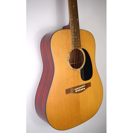 Eastman PCH1-D  Gitaar