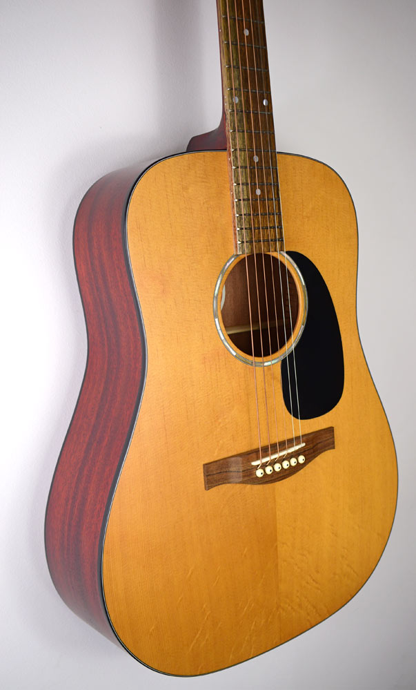 Eastman PCH1-D  Gitaar