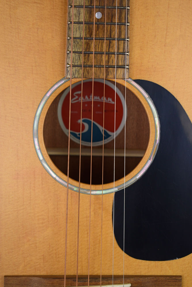 Eastman PCH1-D  Gitaar