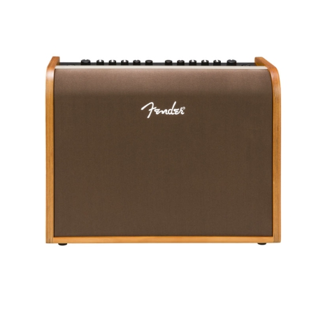 Fender Acoustic 100 akoestische gitaarversterkercombo