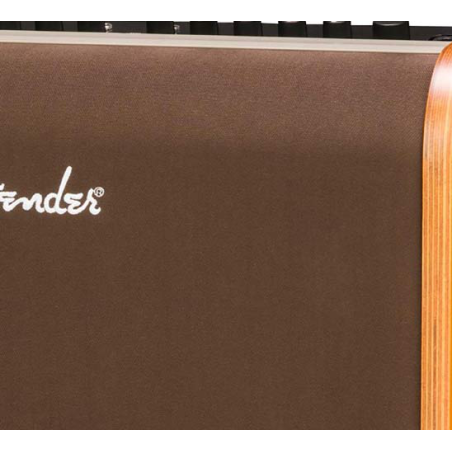 Fender Acoustic 100 akoestische gitaarversterkercombo