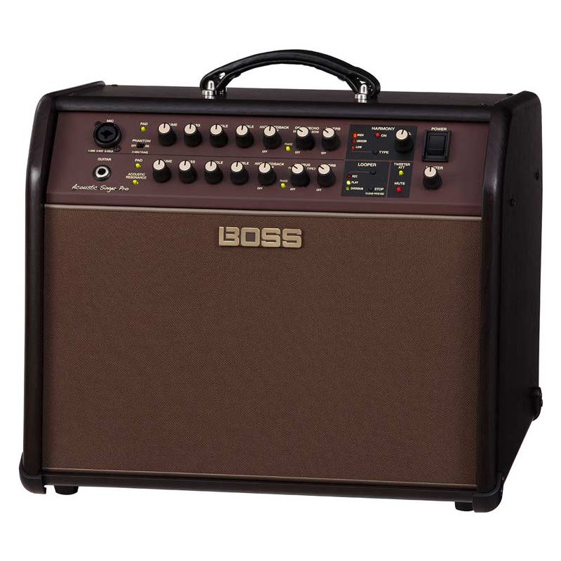 BOSS Acoustic Singer Pro 120watt