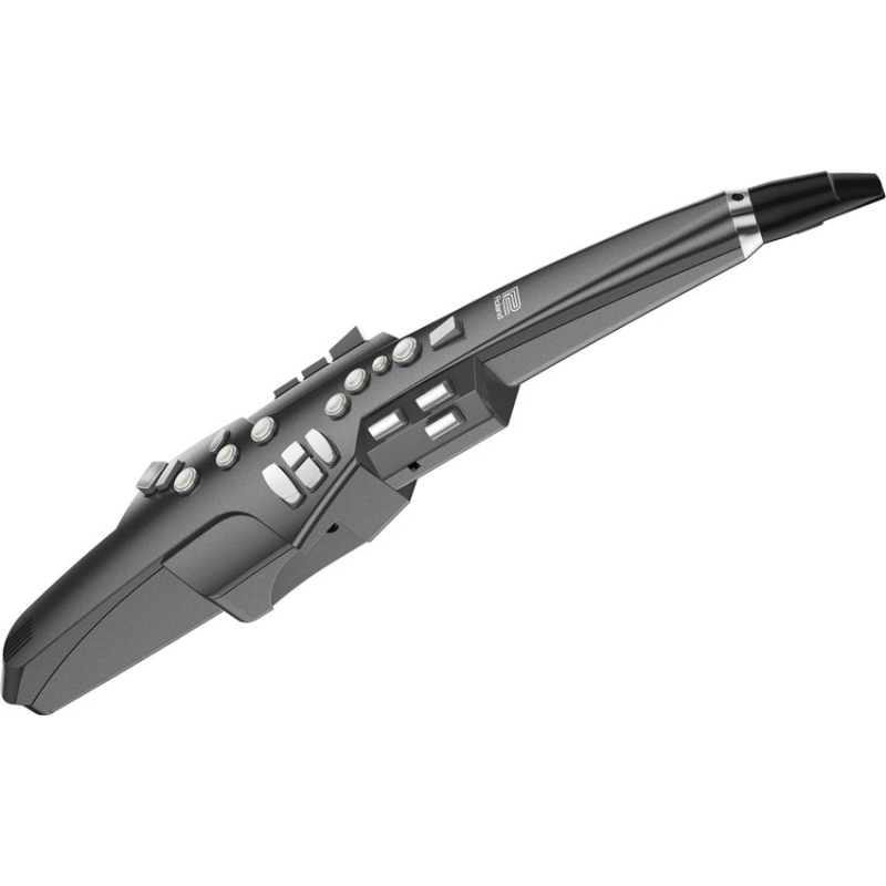 Roland Aerophone AE10G digitaal blaasinstrument