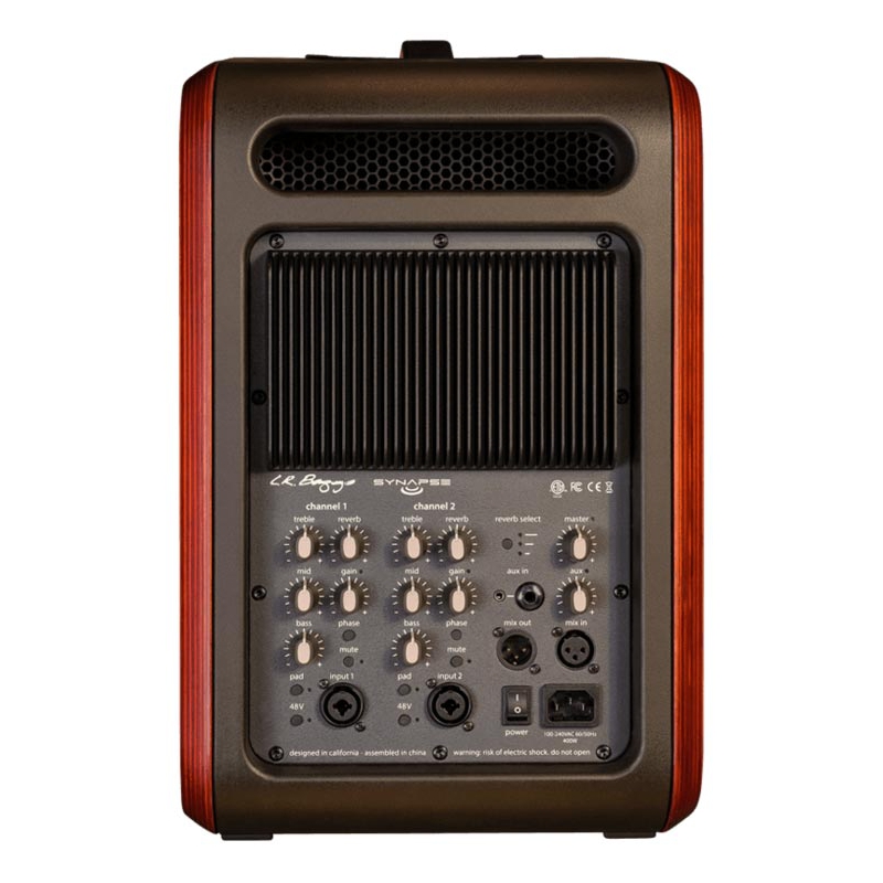 LR Baggs Synapse Personal PA system