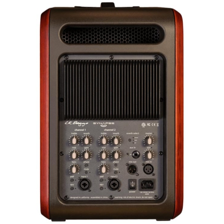 LR Baggs Synapse Personal PA system