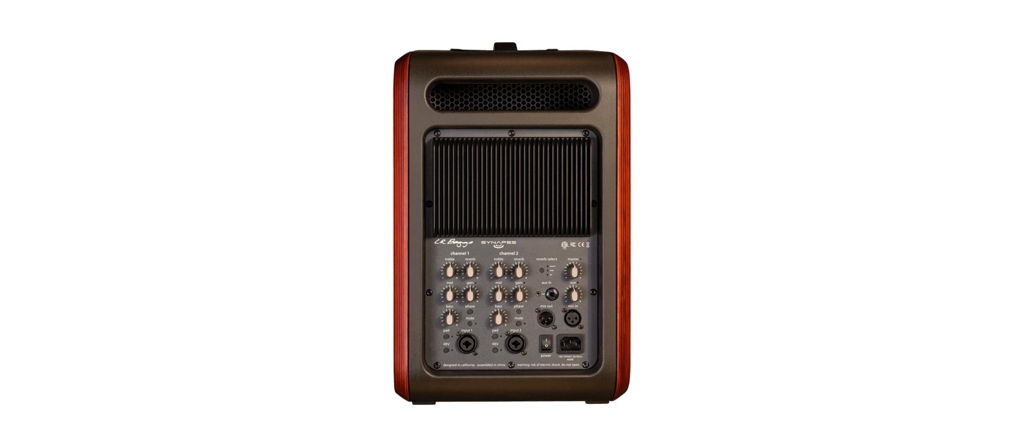 LR Baggs Synapse Personal PA systemprofessioneelDijkman Muziek