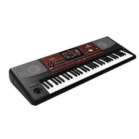 Korg PA700 Arranger keyboard