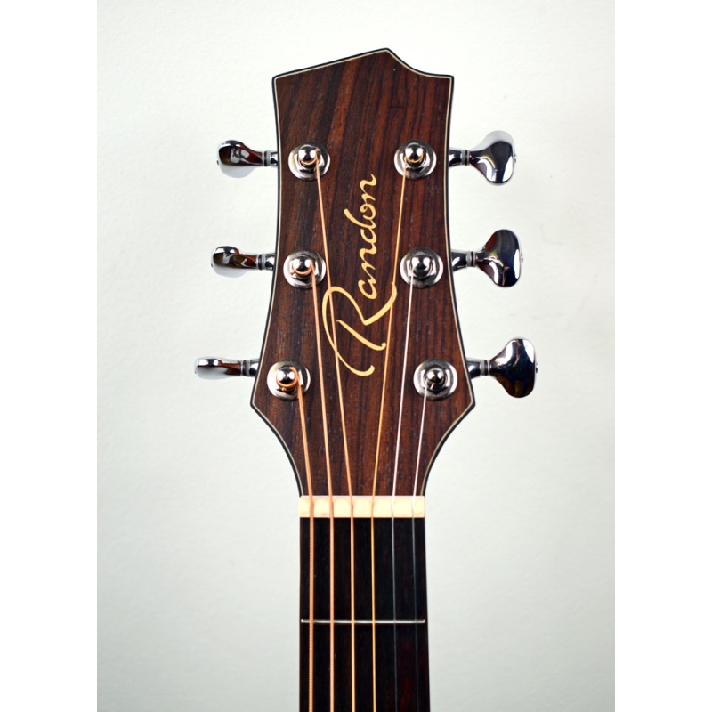 Maak los Informeer Investeren Randon RGI-10VT akoestische gitaar|Dijkmanmuziek