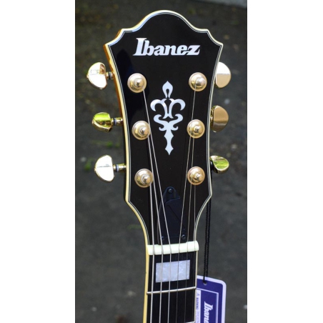 Ibanez AF95FM-AYS