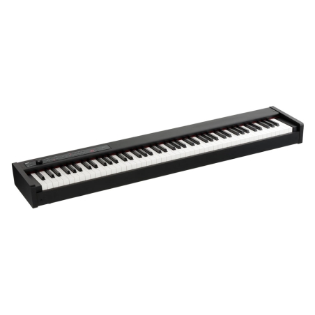 Korg D1 stage piano