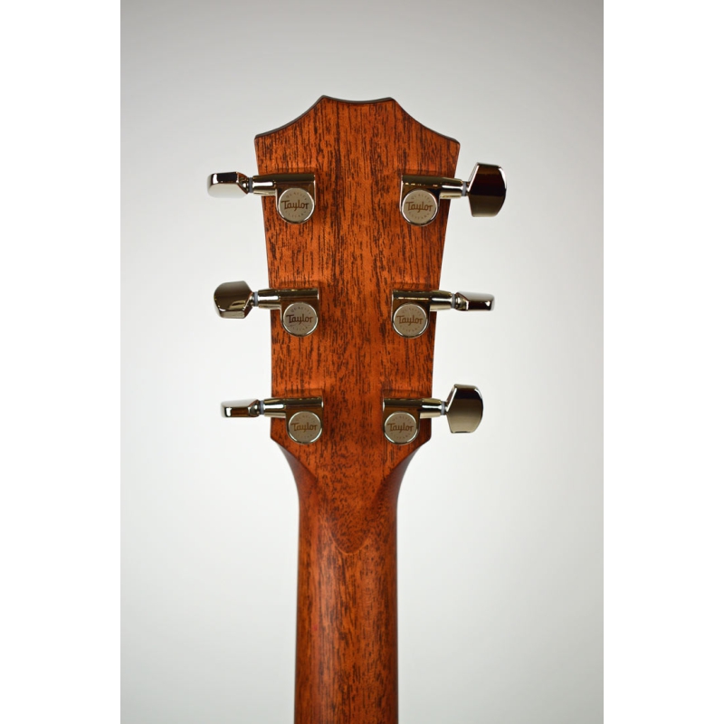 Taylor 314CE V-Class Bracing