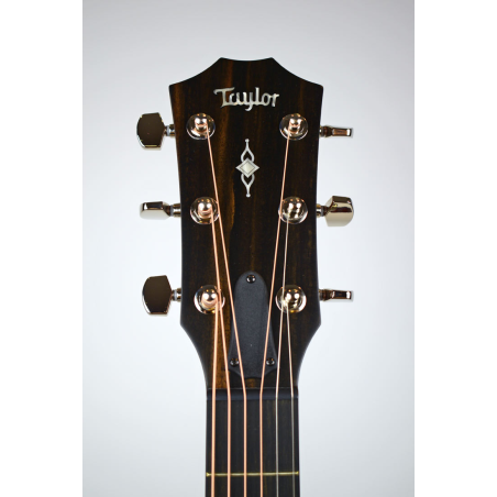 Taylor 314CE V-Class Bracing