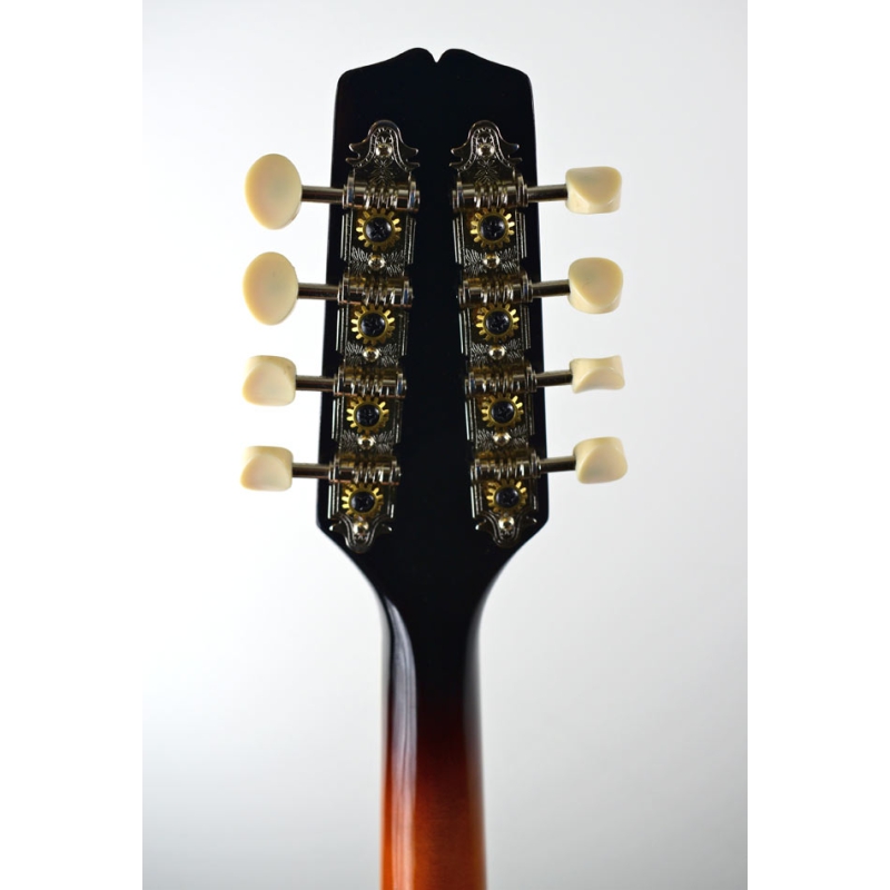 Benadrukken Beleefd Verzoenen Kentucky KM150 mandoline|A style, massief gebouwd|DijkmanMuziek