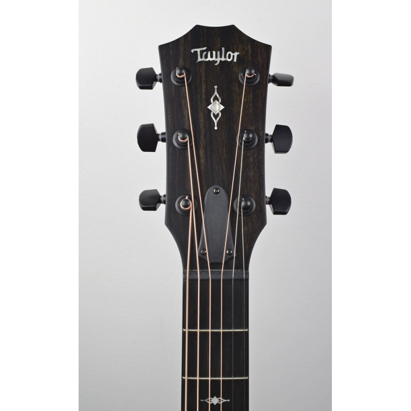 Taylor 324CE V-Class Edgeburst