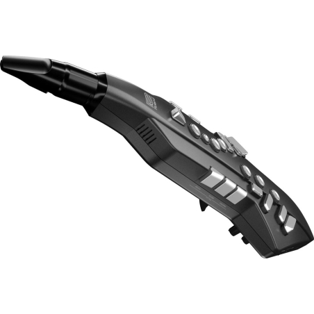 Roland Aerophone Go