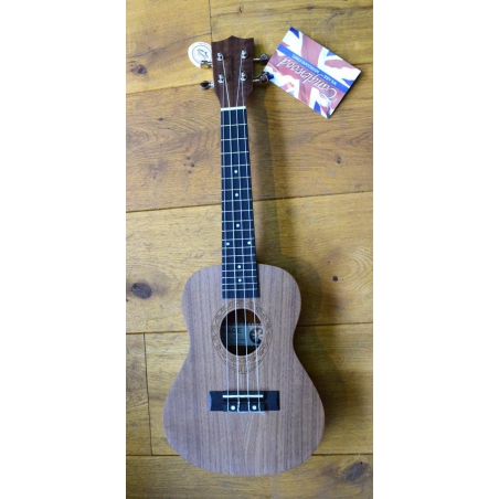 Tanglewood Tiare TWT3 concert ukulele